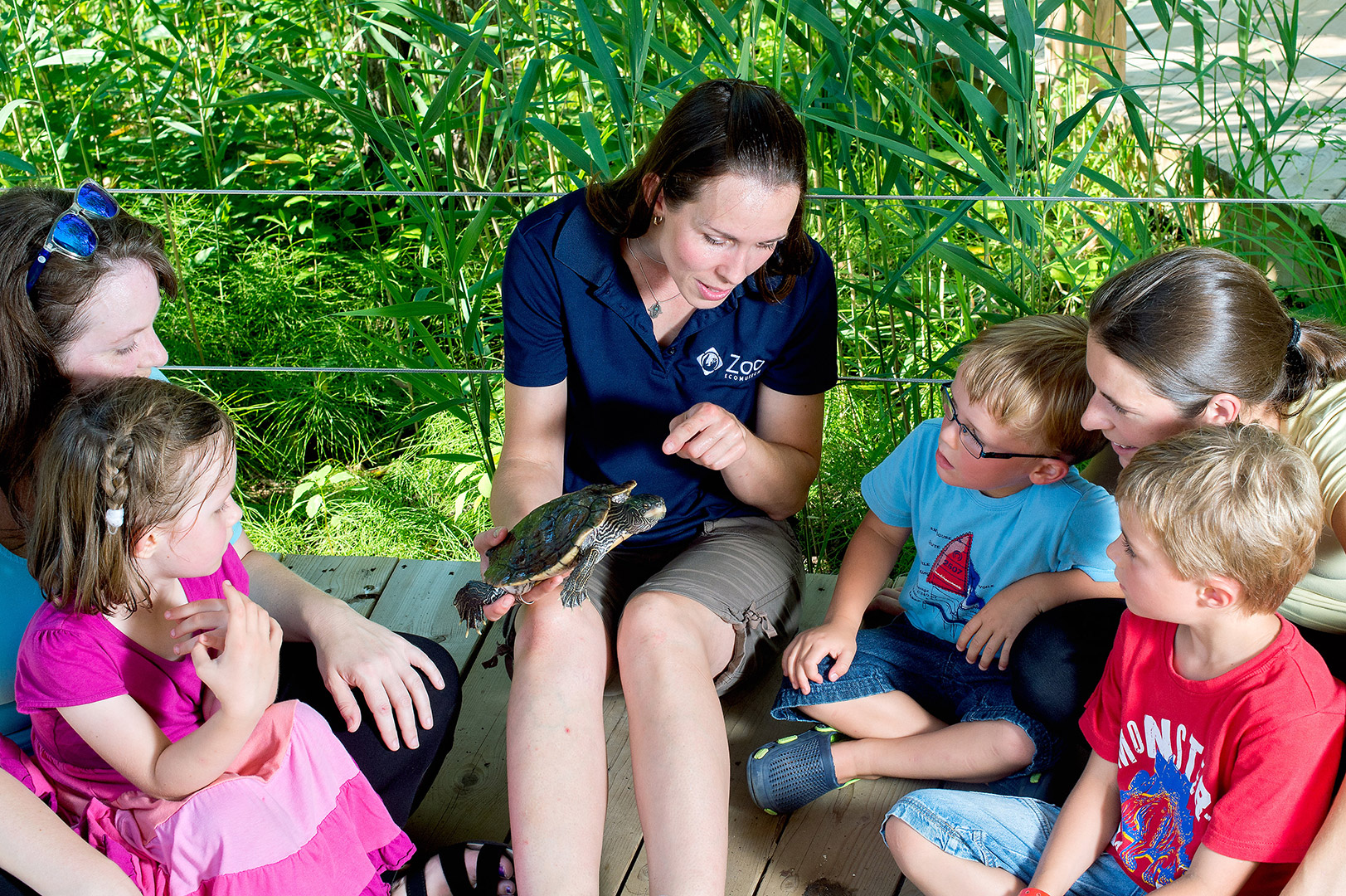 enfants et parents autour d'une animalière tenant une tortue au cours de l'activité Animalier d’un jour au Zoo Ecomuseum