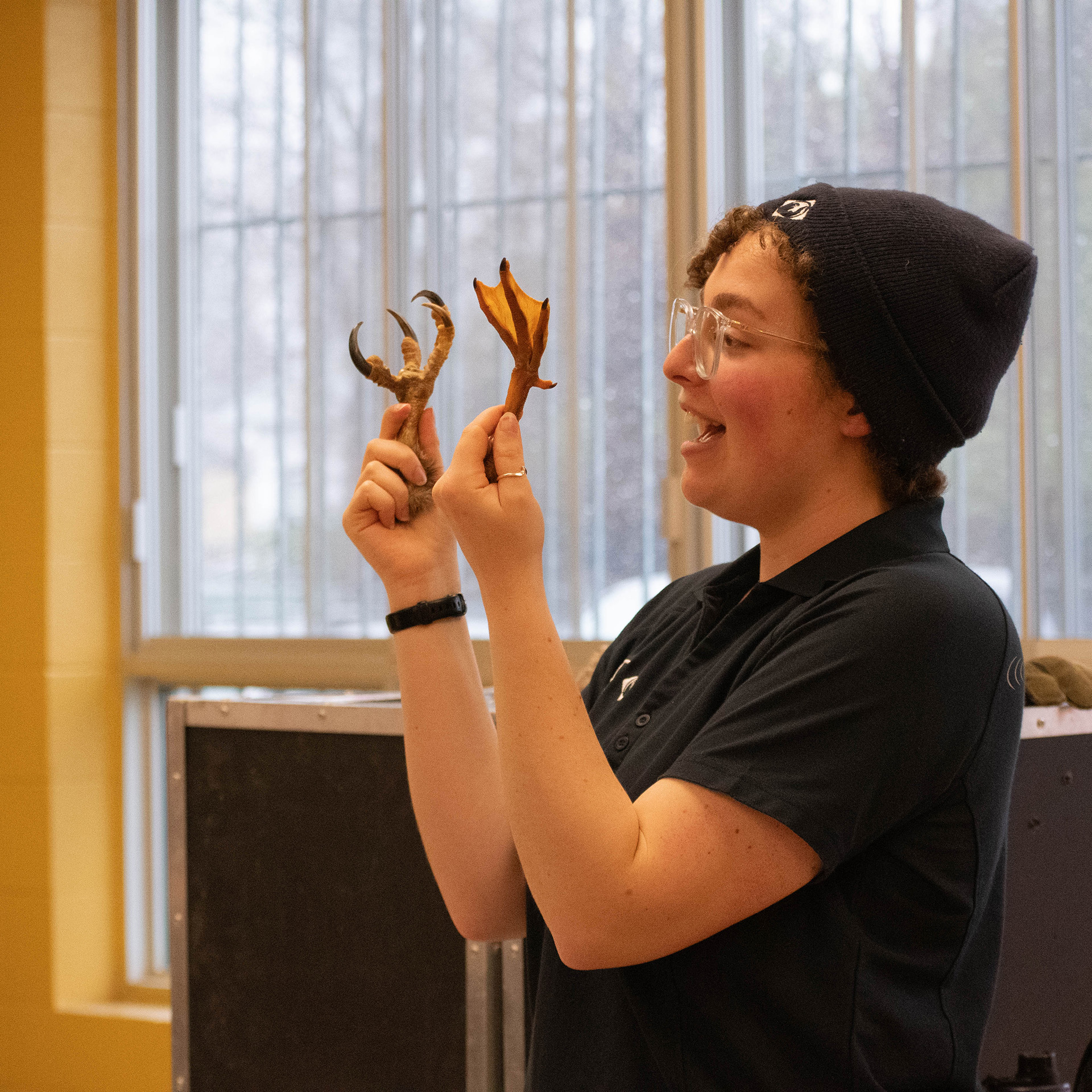 Zoologist holding an artefact