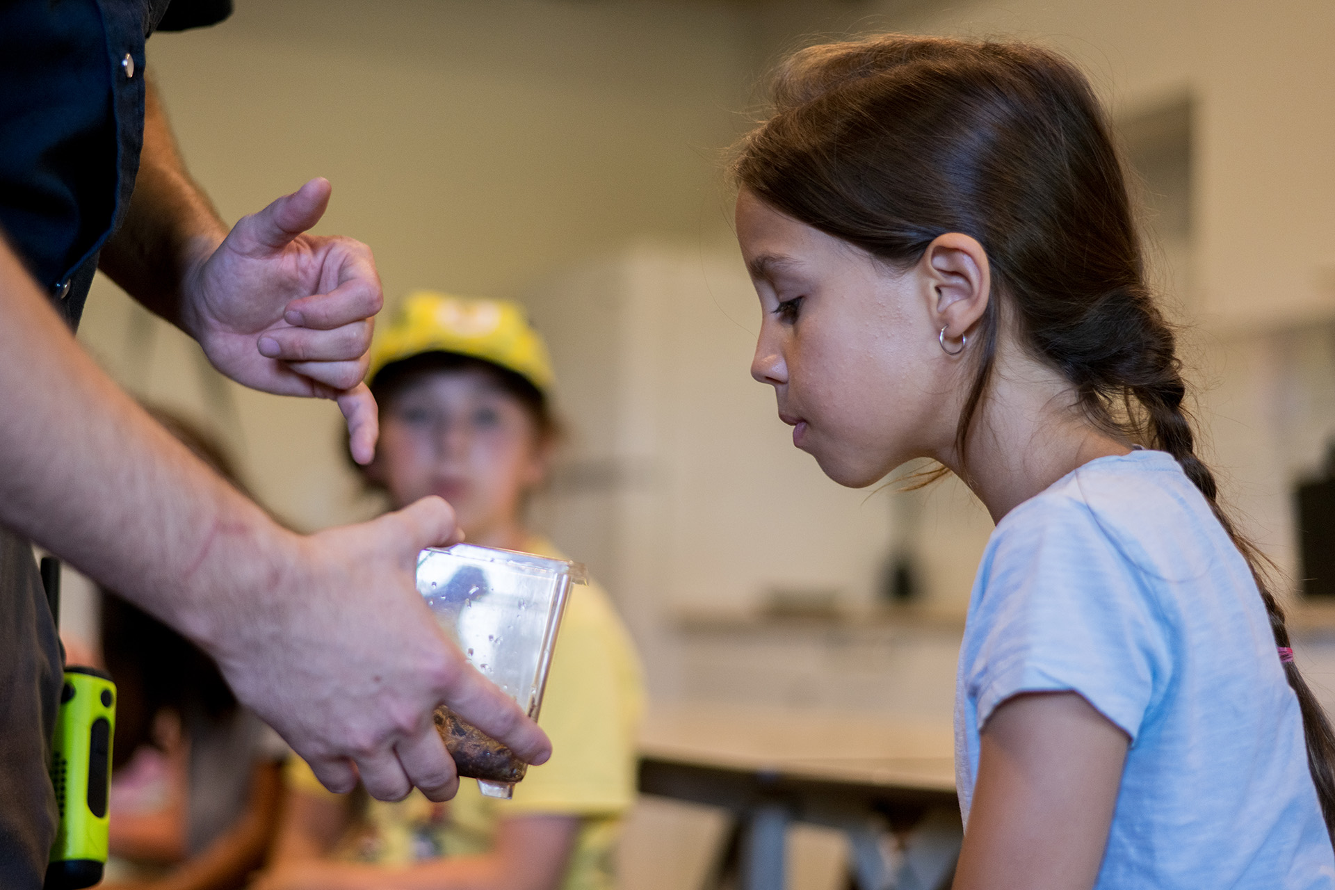 Students observing an amphibian