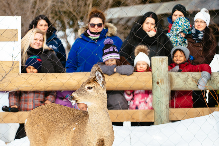 Zoo Ecomuseum visitors looking at a deer
