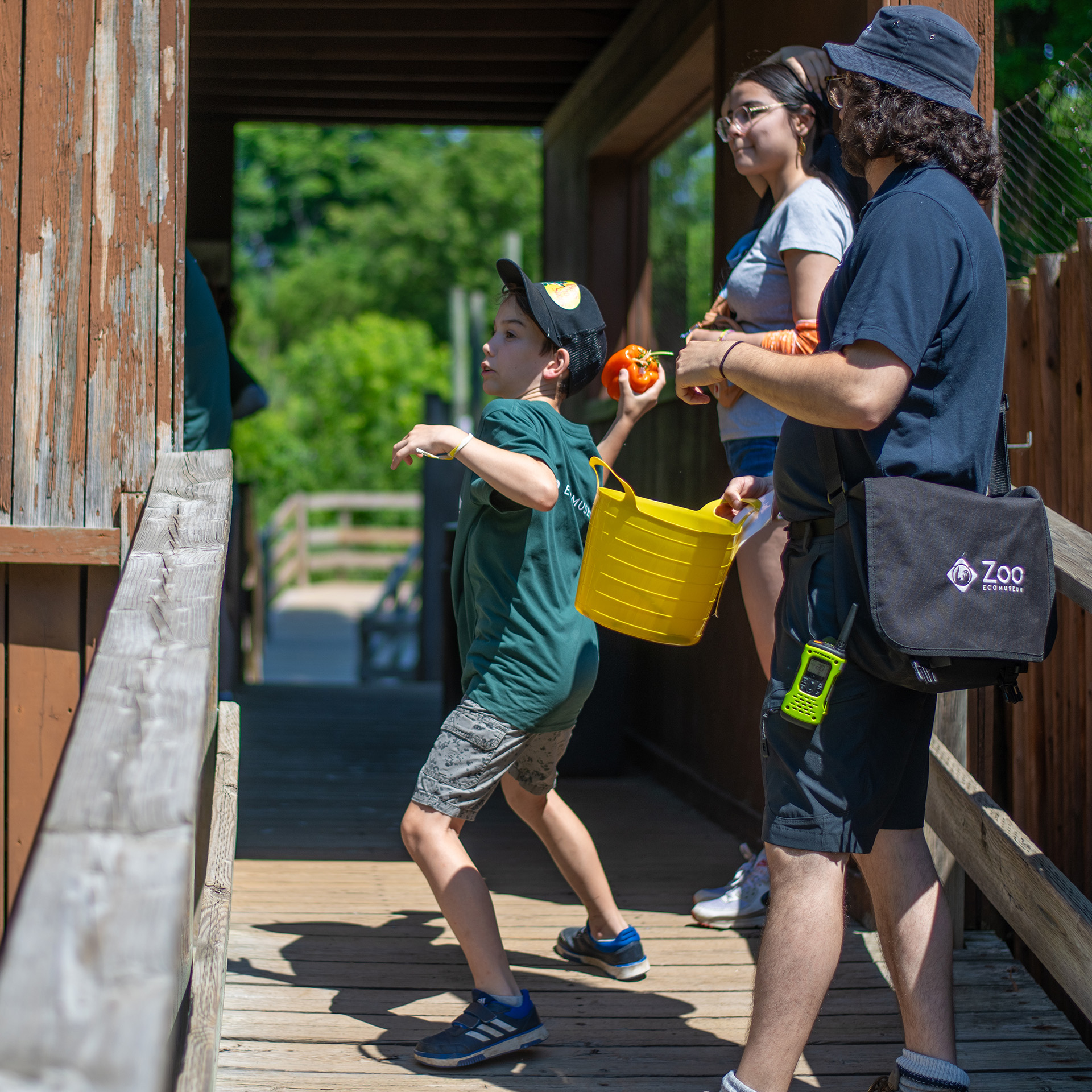 Children throwing an enrichment from the observation platform