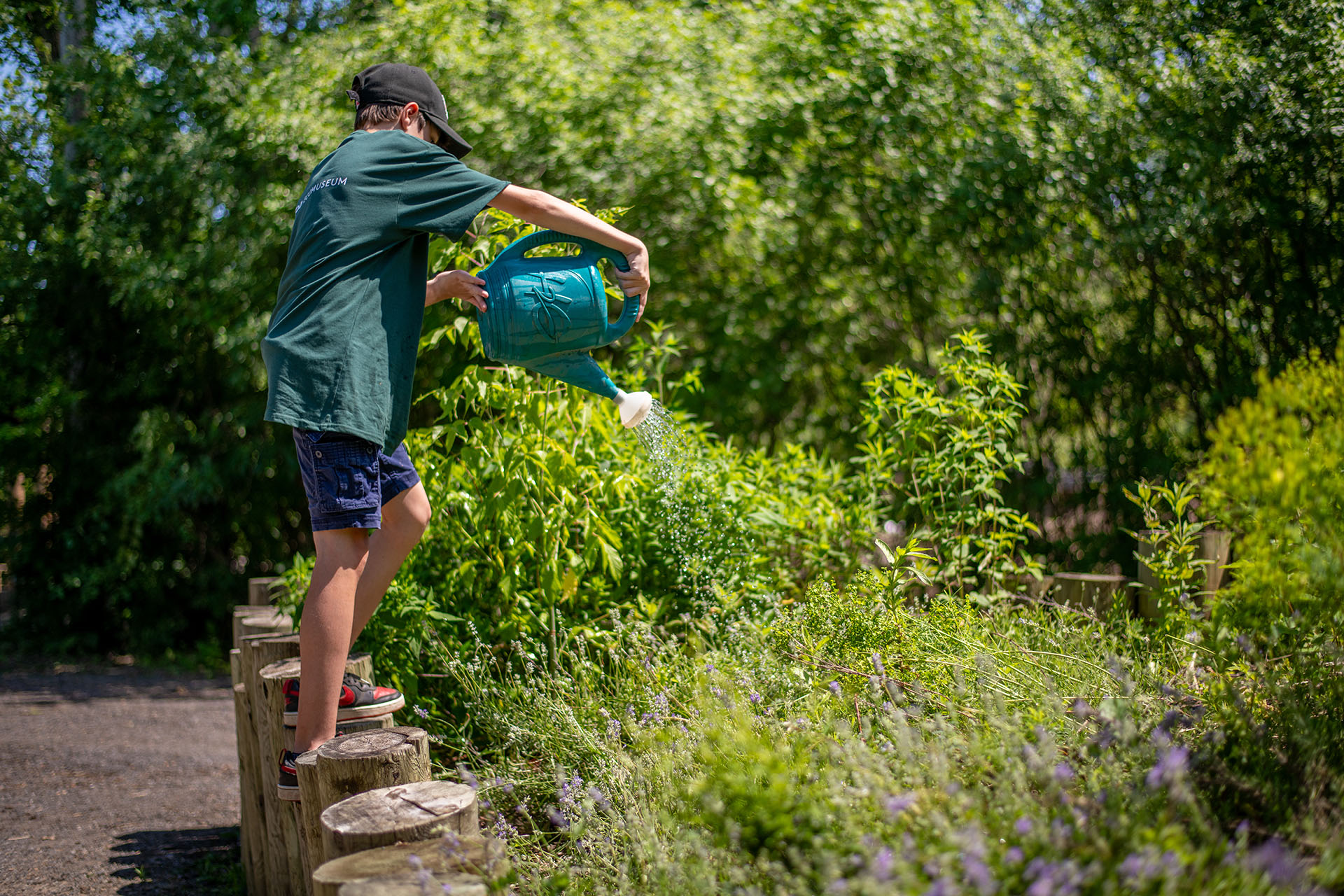 Enfant du Camp Nature qui arrose les plantes