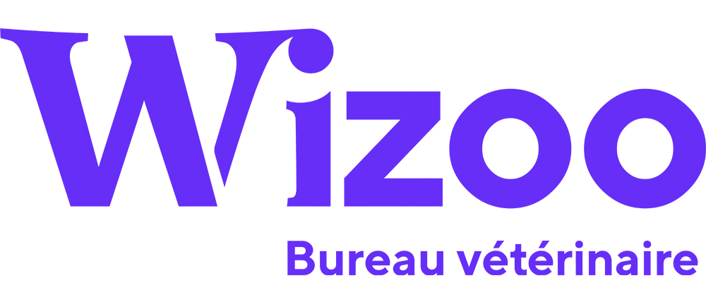 Wizoo