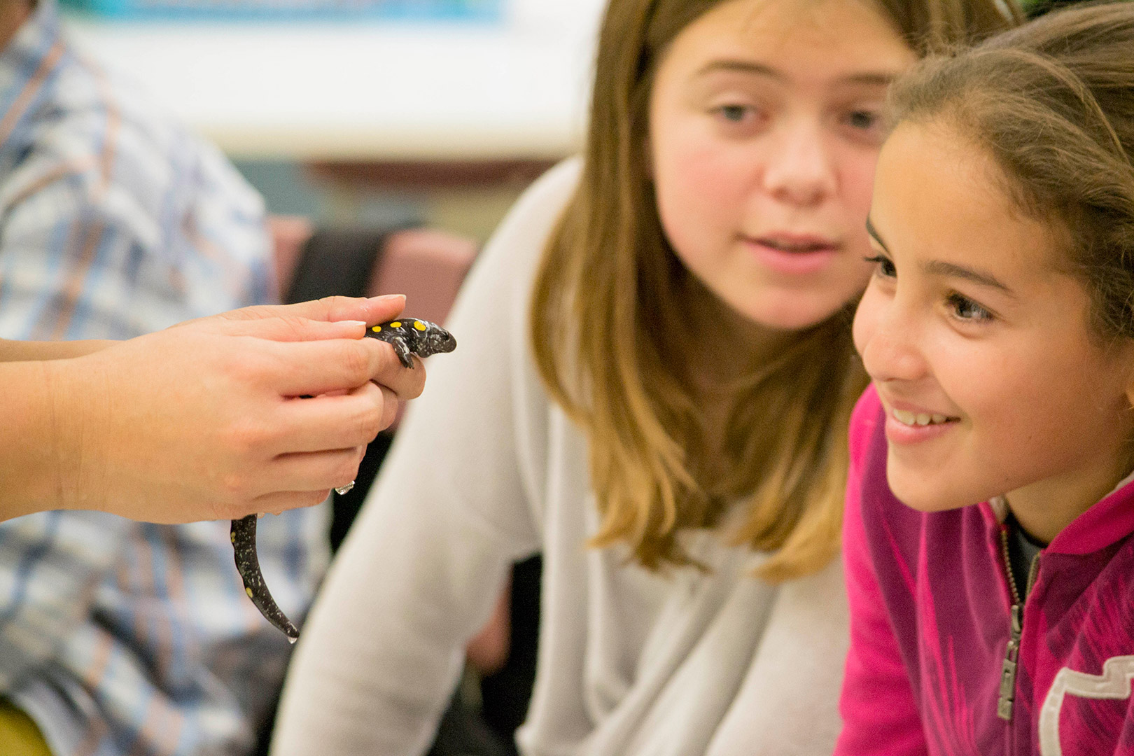 students looking at a yellow-spotted salamander