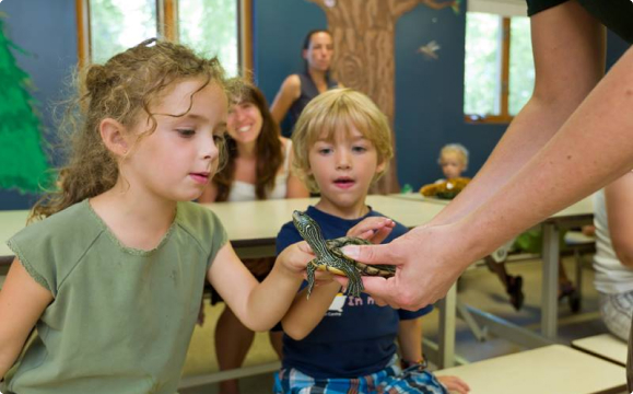 enfants touchant une tortue